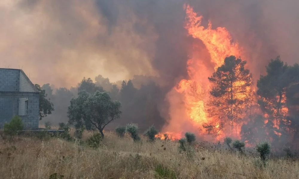 Φωτιά κοντά σε οικισμό στα Γλυκά Νερά – Ήχησε το 112 (βίντεο)